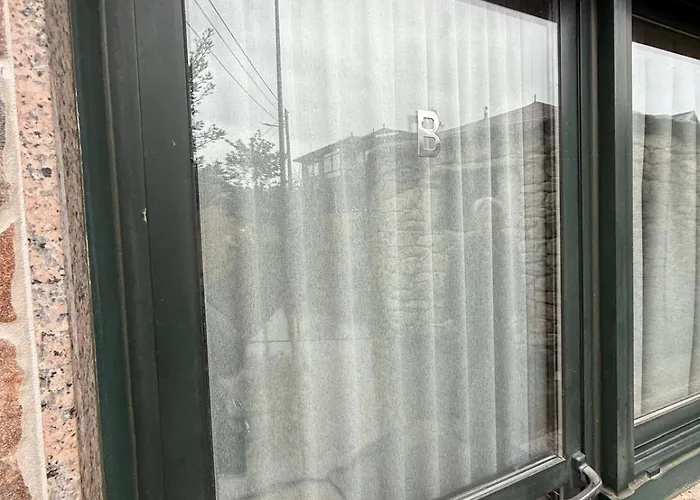 Проживание в семье Celtia *